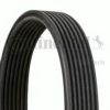 BMW 11287808107 V-Ribbed Belts